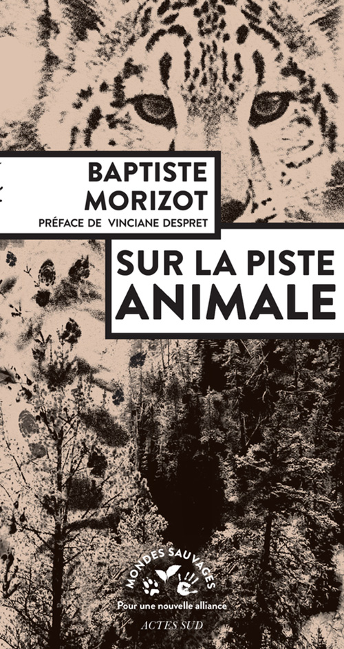 surlapisteanimale baptistemorizot actessud mondessauvages